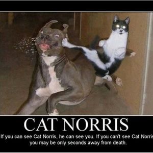 Meet your Posher, Devon